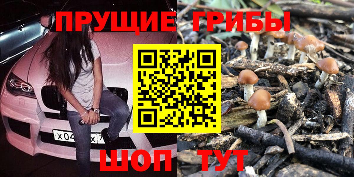 Галлюциногенные грибы Magic Shrooms  Псилоцибиновые грибы Cubensis  Карталы  Вход с VPN 