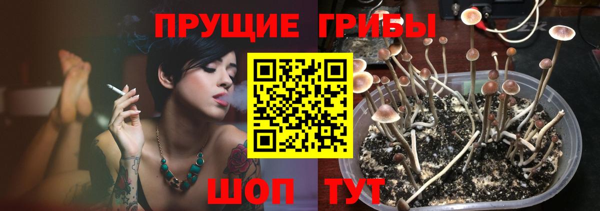 Псилоцибиновые грибы прущие грибы Карталы